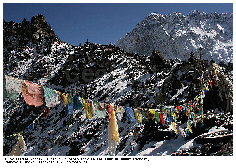 ����, �������, �����������, ������, �����, ����������, �������-����, ����, ����, ��������, ��������, �����, ����, ������