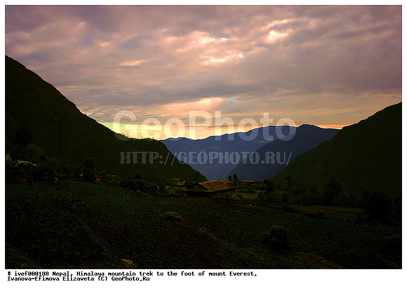 ����, �������, �����������, ������, �����, ����������, �������-����, ����, ����, ��������, ������, �����, �����