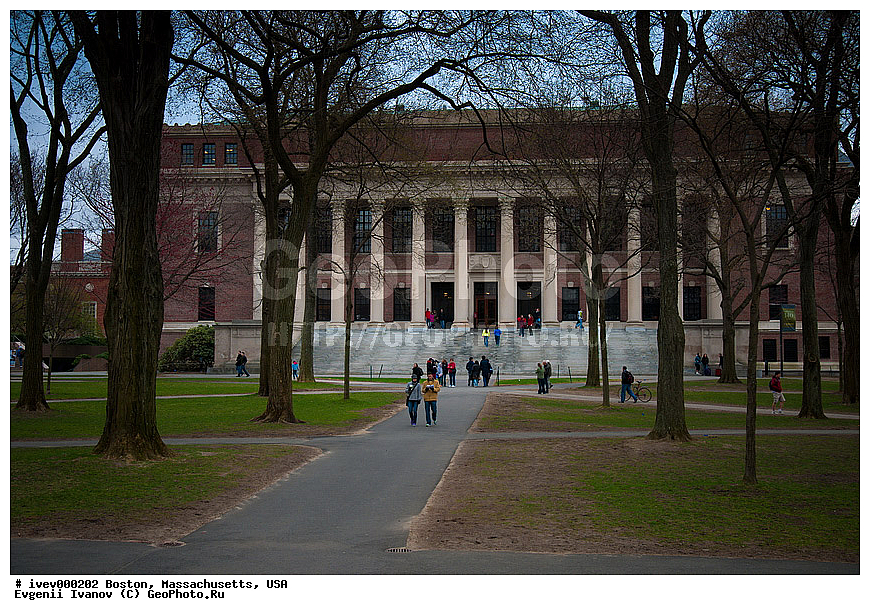 ������, ����, �����������, ���