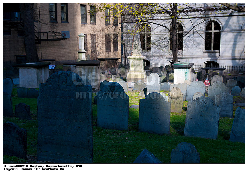 ������, ����, �����������, ���