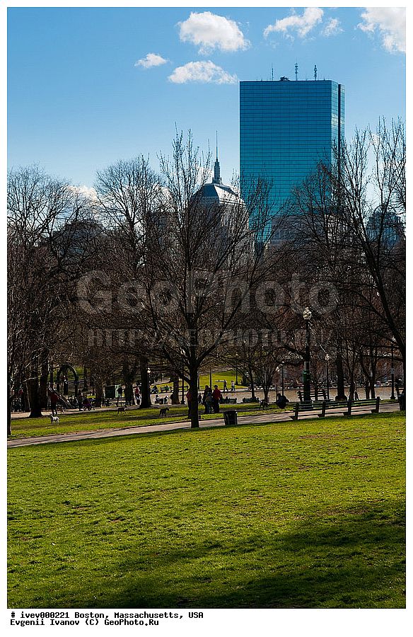 ������, ����, �����������, ���