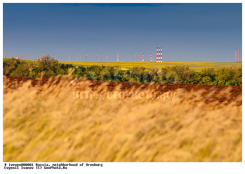 ������������� ��������, ��������, �����, �����, ����, ����, ��������������������. ��������, �����������, �������������,  Russia, locality, nature, pipes, province, region, summer, ��������, ������������ �������, ������, ��������, ���, ��������, �������, ��������, �����, �����, ���, ����, �����, �����, ������, �����������, ����������, ����, �������, ���������, ��������������, ������, �������, ��������, �����, ����������, ��������� �������� ��������