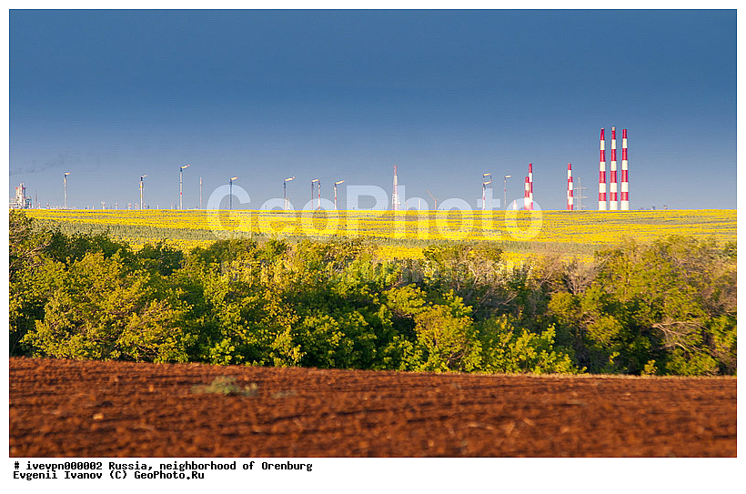 ������������� ��������, ��������, �����, �����, ����, ����, ��������������������. ��������, �����������, �������������,  Russia, locality, nature, pipes, province, region, summer, ��������, ������������ �������, ������, ��������, ���, ��������, �������, ��������, �����, �����, ���, ����, �����, �����, ������, �����������, ����������, ����, �������, ���������, ��������������, ������, �������, ��������, �����, ����������, ��������� �������� ��������