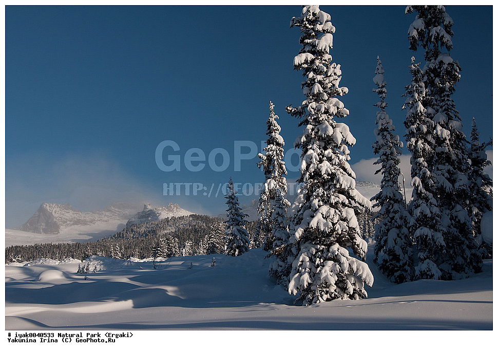 �������� ����, �������� �����, ������, ������, ��������� ����