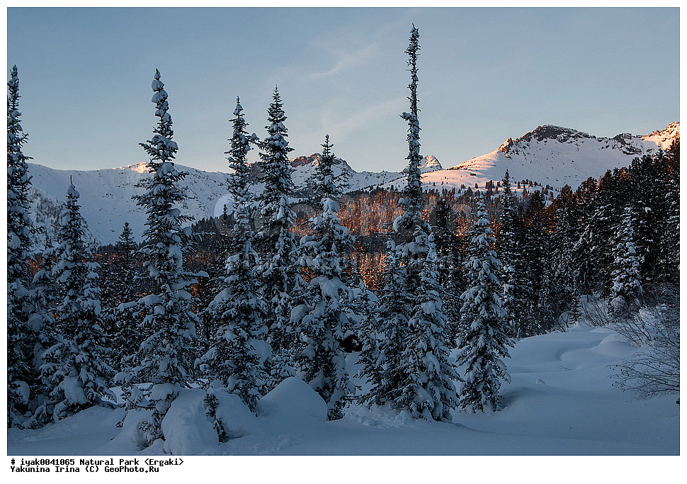 �������� ����, �������� �����, ������, ������, ��������� ����