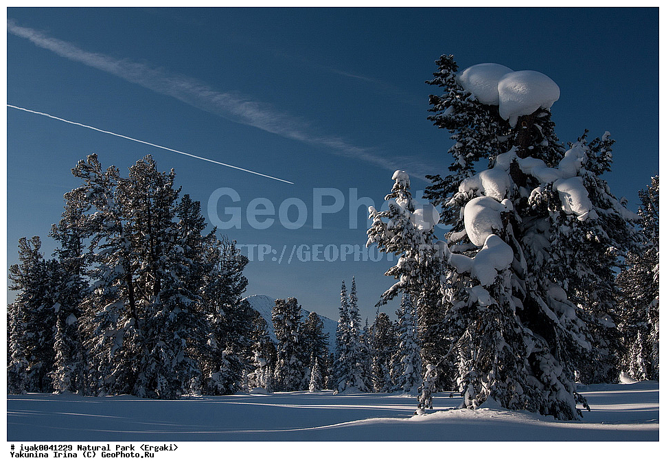 �������� ����, �������� �����, ������, ������, ��������� ����