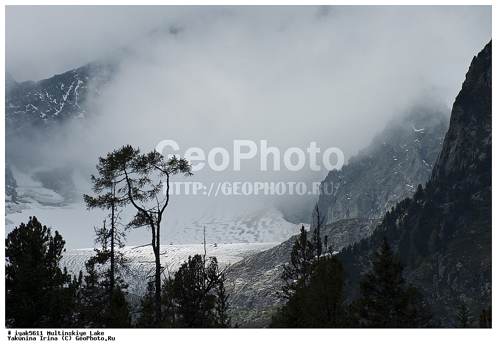 �����, ��������� ����������, ������, �����, ����������� �����