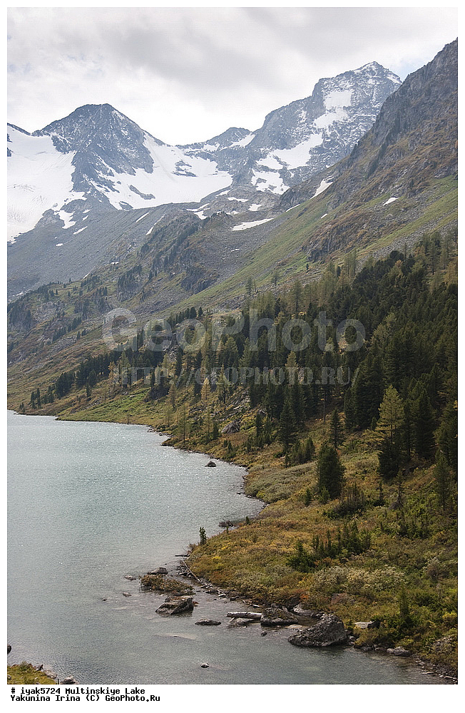 �����, ��������� ����������, ������, �����, ����������� �����