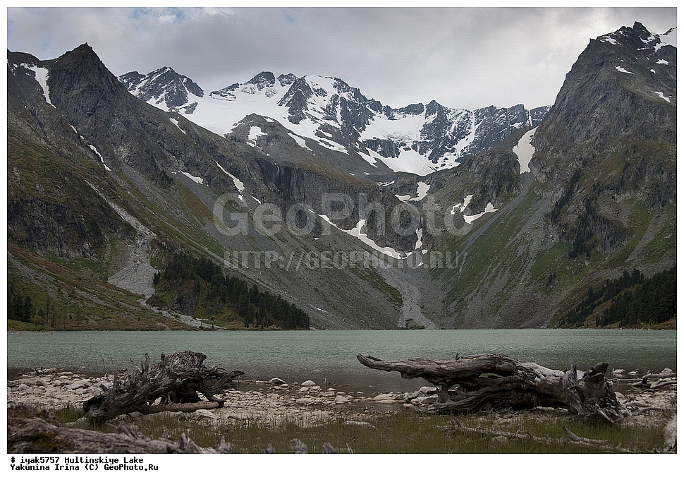 �����, ��������� ����������, ������, �����, ����������� �����