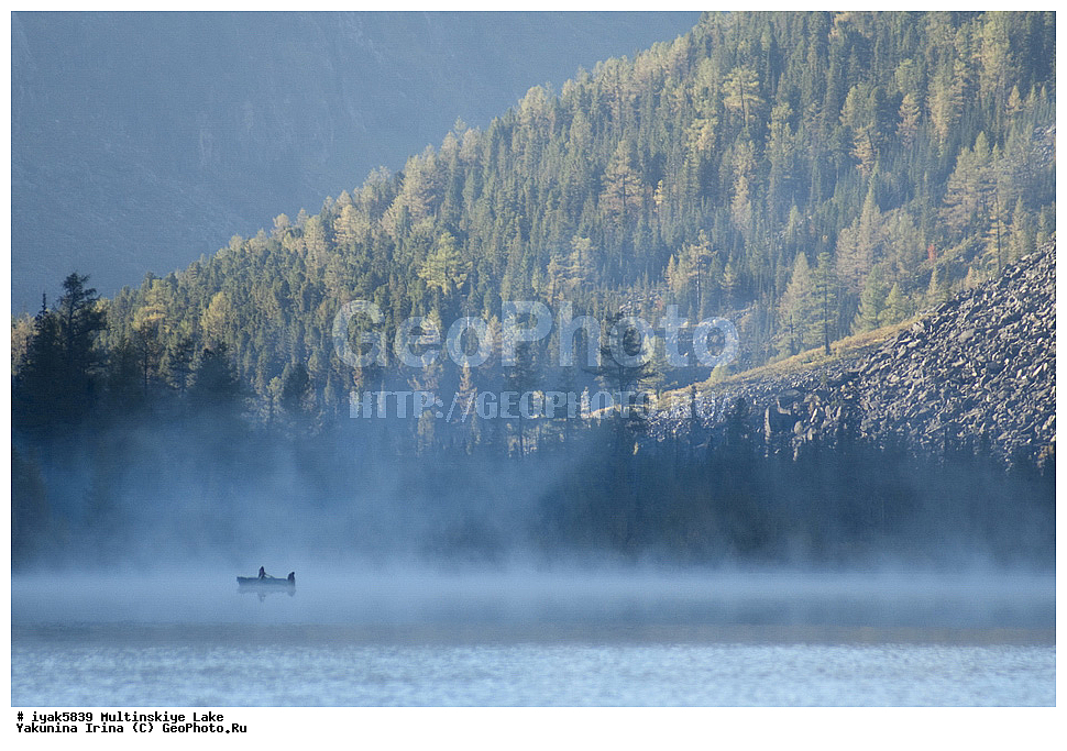 �����, ��������� ����������, ������, �����, ����������� �����