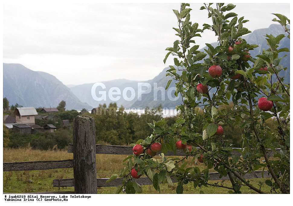 ��������� ����������, ����� ��������, �����, ����������