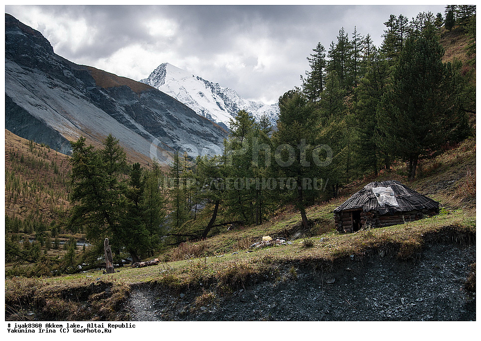 ��������� �����, ���������� �����, �����, �����