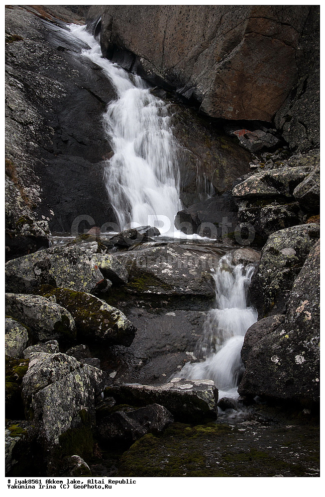 ��������� �����, ���������� �����, �����, �����