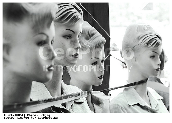 ��������, �������, ������, ��������, �������� �����