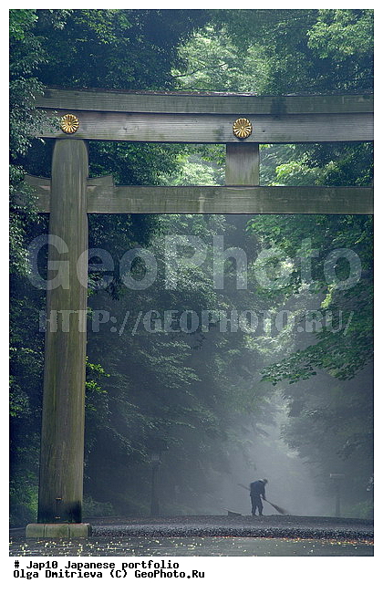 ������������, �����, ������, ����� ������, ���