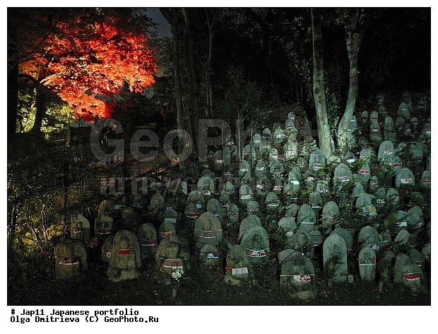 �����, �����, ������