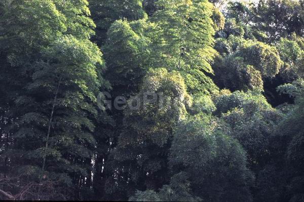 ������, �������, �������, ������, �����, ������, ��������, ��������, ��������������, �����, �������