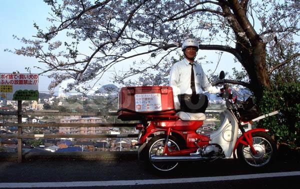 ������, �����, ��������, ���������, �����