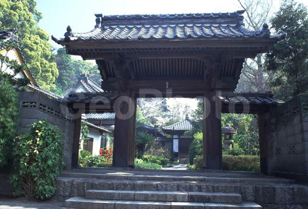 ������ ���������, ������, �����, ������, �����, ���������