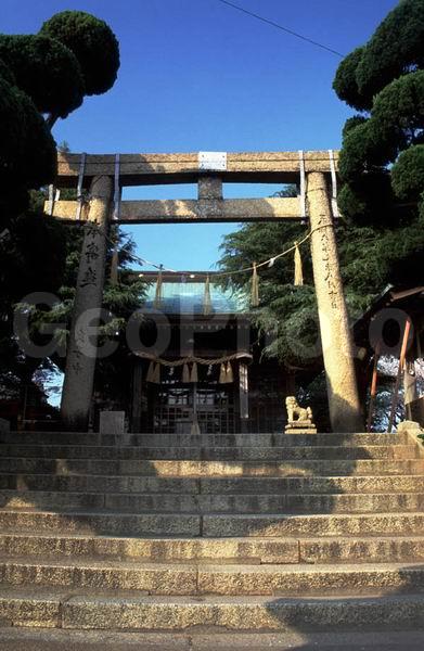 ������, �����, ������, �����, ���������