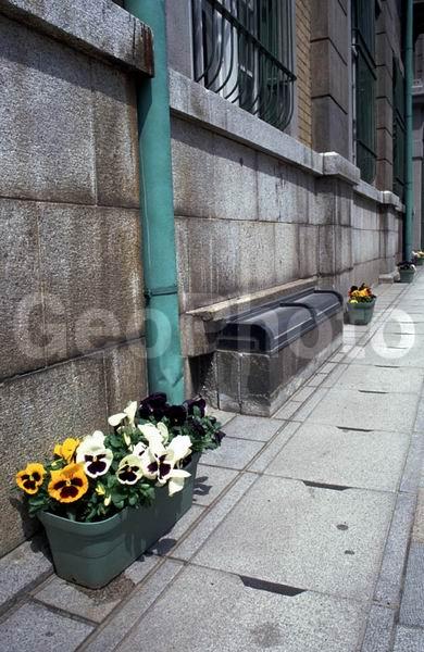 ������, �����, �����, �����