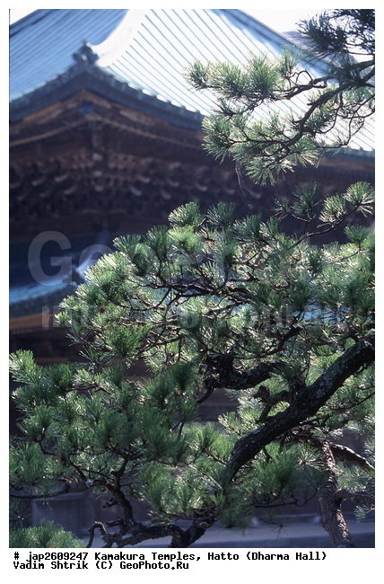 ���� ���������, ����� ��������, ������, �������, ����, ��������