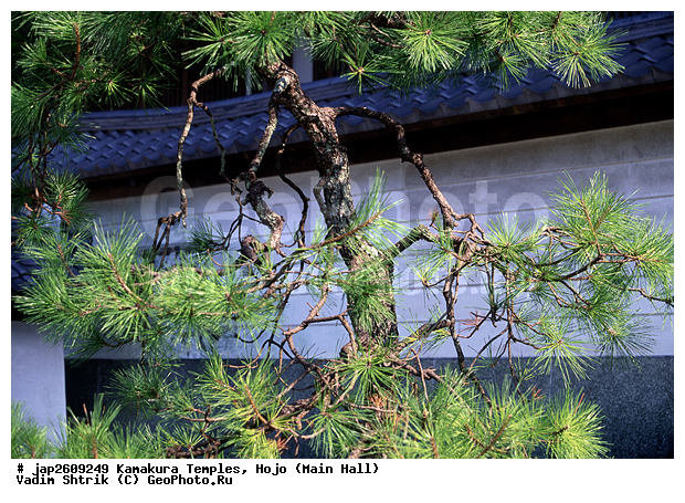 ���� ���������, ����� ��������, ������, �������, ����, ��������