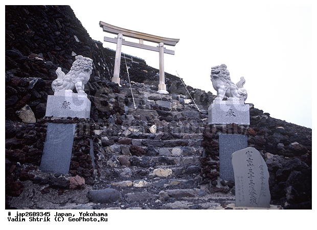 ��������, �����-���, ��������, ��������, ������