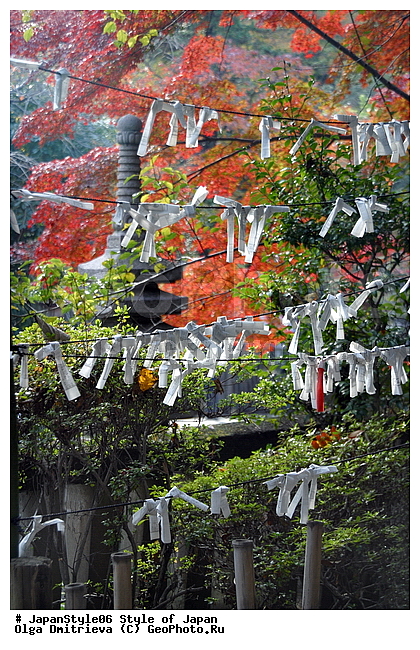 O���� ������ ����� �������, ������, �����