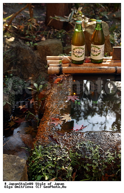 O���� ������ ����� �������, ������, �����