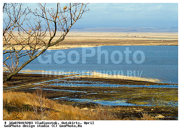 �����������, ���������� ����, ������, �����, �����������