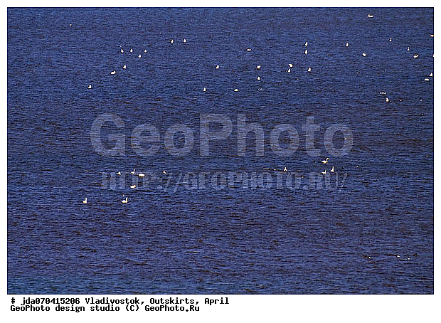 �����������, ���������� ����, ������, �����, ����� ������, �����, �����������