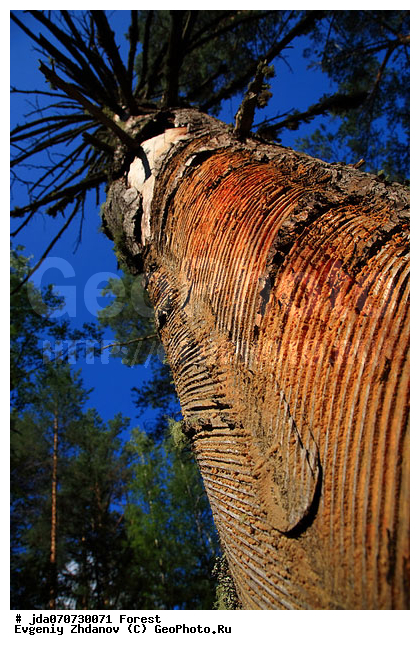 ���, ������� �� ������, ���, �������, ���� �����-������, �����-������, ������, �������� ���, �����