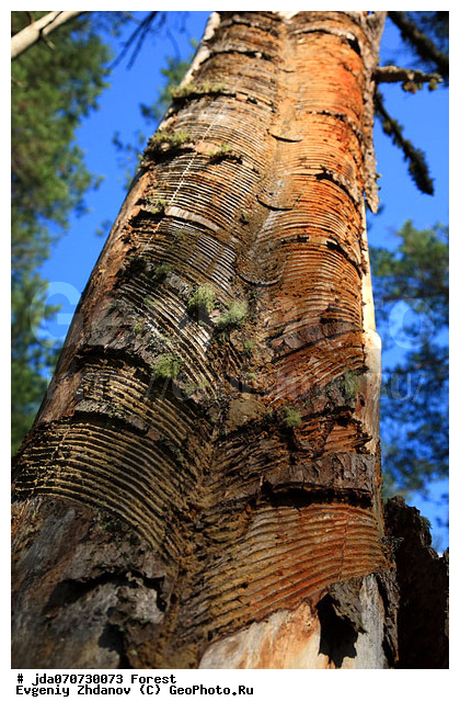 ���, ������� �� ������, ���, �������, ���� �����-������, �����-������, ������, �������� ���, �����