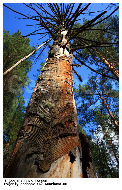 ���, ������� �� ������, ���, �������, ���� �����-������, �����-������, ������, �������� ���, �����