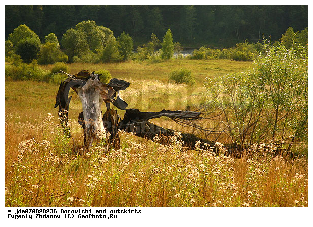 ��������, ������������ �������, ����� ��������, ������, ����, ���� ����