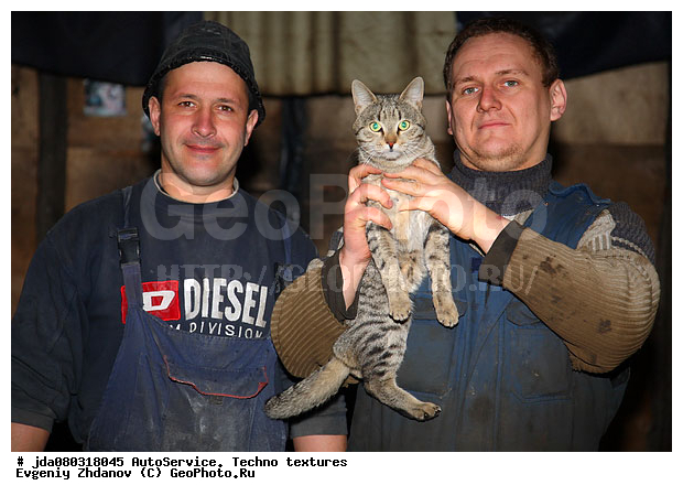 ����������, ���������, ���, ��� �� �����������, ������, �����, �����, ������� ���, ���������, ����-����������, �����, ����� �������, �������