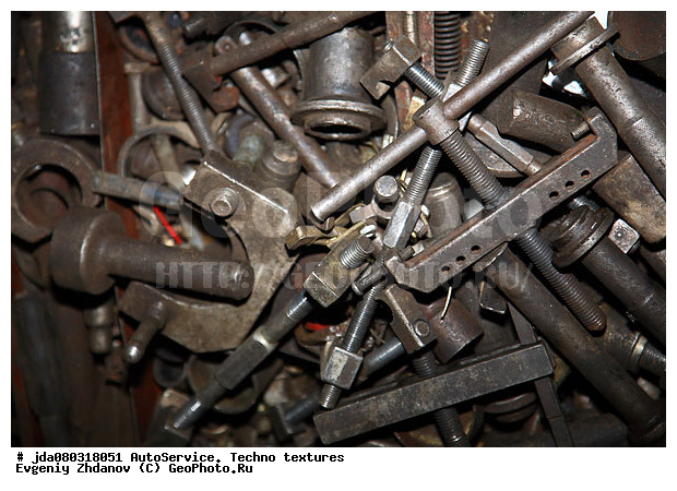 ����������, ��������, ����������, �����, �������� ������, �����, ����� �������, �������