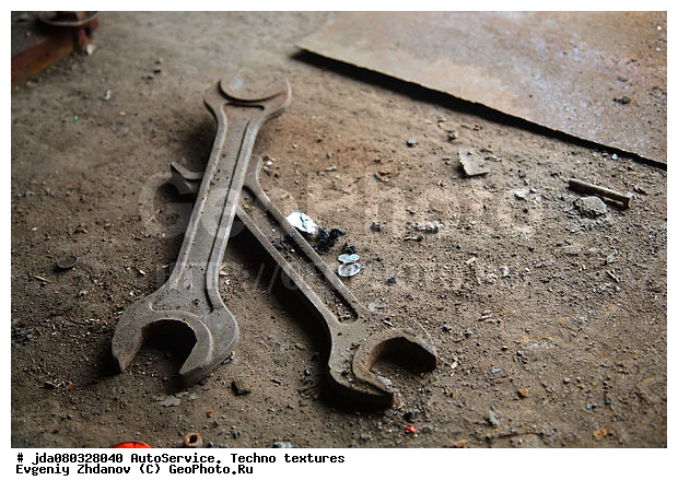 ����������, �����, �����, ����� �������, �������