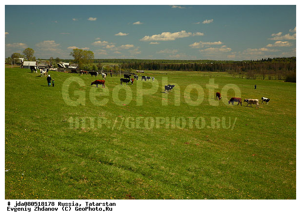 ������, ���������