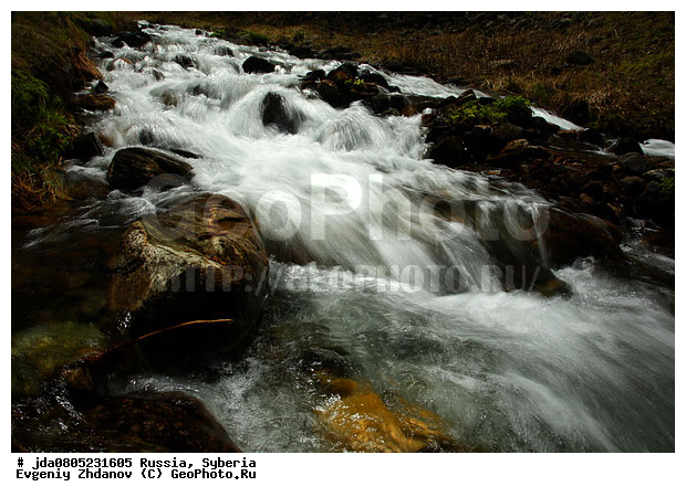 �������, ����������, ������