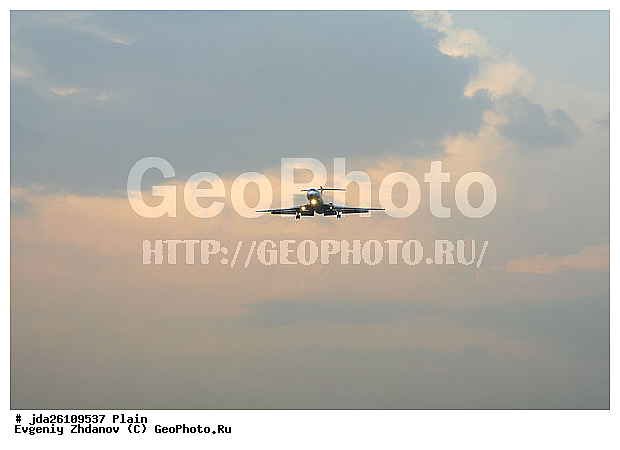 ��, �������, �������