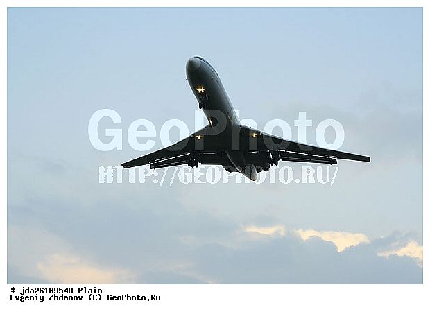 ��, �������, �������