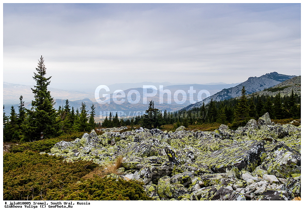 �������, ����� ����, ������