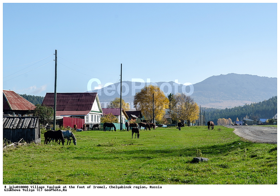 ������� �����, �������� �������, ����������� �������, ������, �������