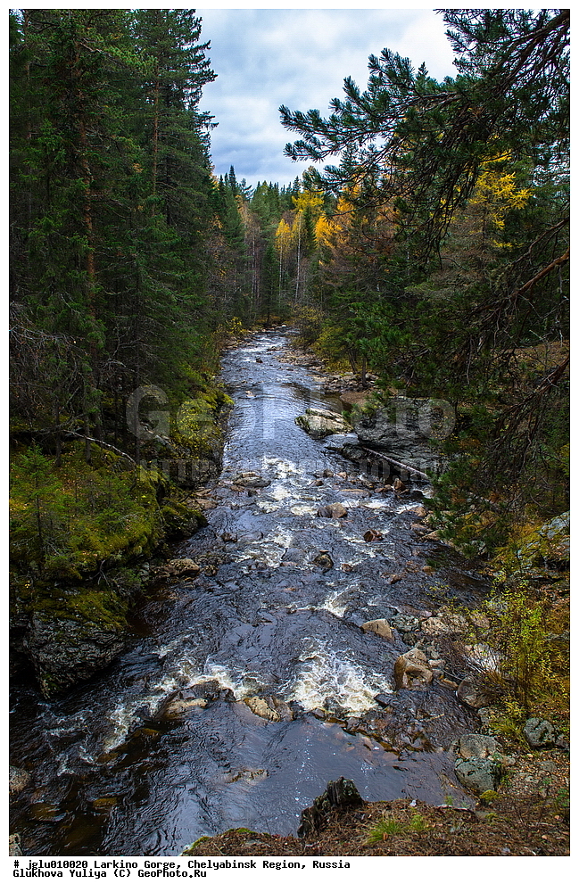 ������� ������, ����������� �������, ������, ������