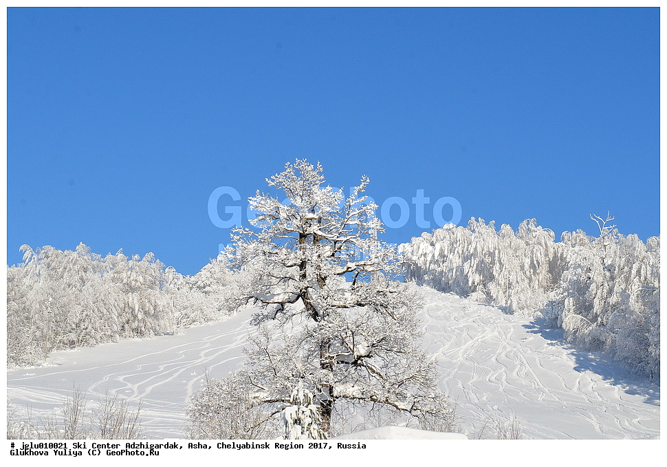 ����������� �����, ����������, ���, ����������� ������� 2017, ������