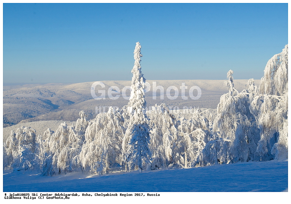 ����������� �����, ����������, ���, ����������� ������� 2017, ������