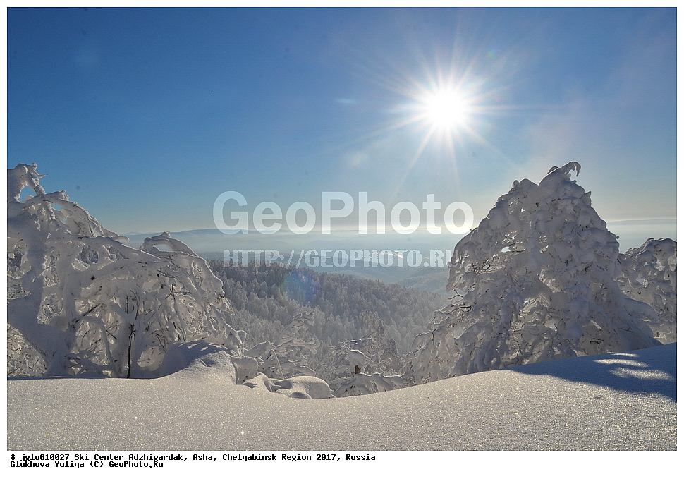 ����������� �����, ����������, ���, ����������� ������� 2017, ������