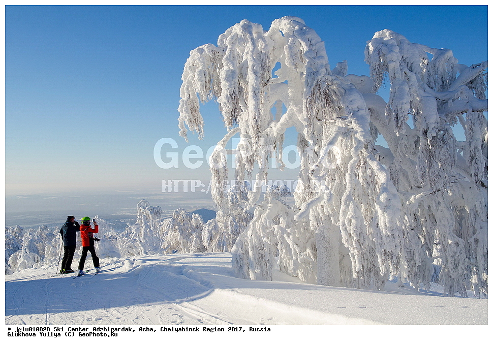 ����������� �����, ����������, ���, ����������� ������� 2017, ������